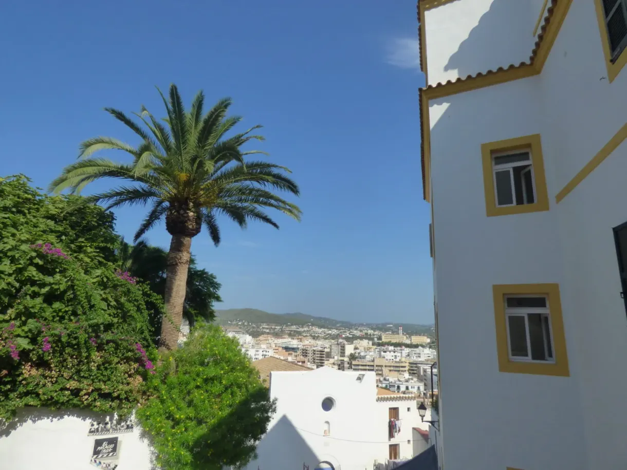 Palmier et bougainvillier devant une façade blanche aux volets jaunes