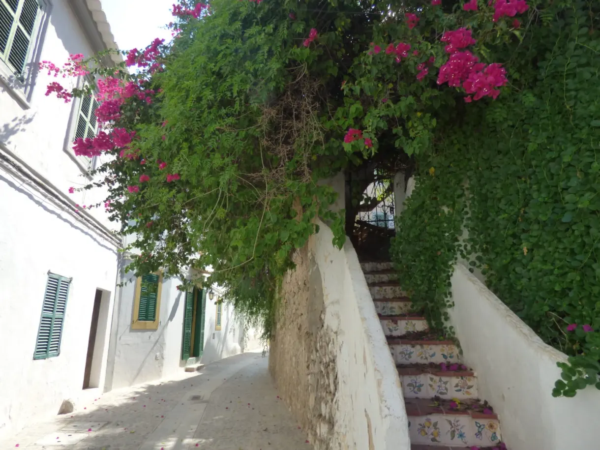 Escalier blanchi à la chaux sous un bougainvillier rose
