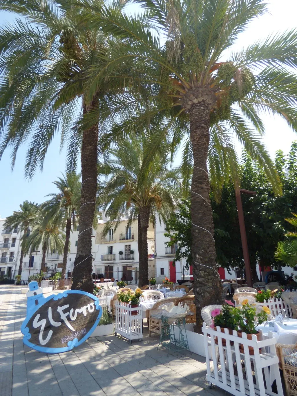 Terrasse blanche sous les palmiers du front de mer