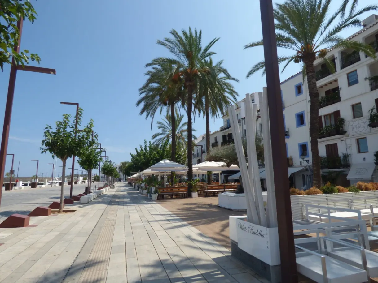 Promenade en bois du port bordée de palmiers