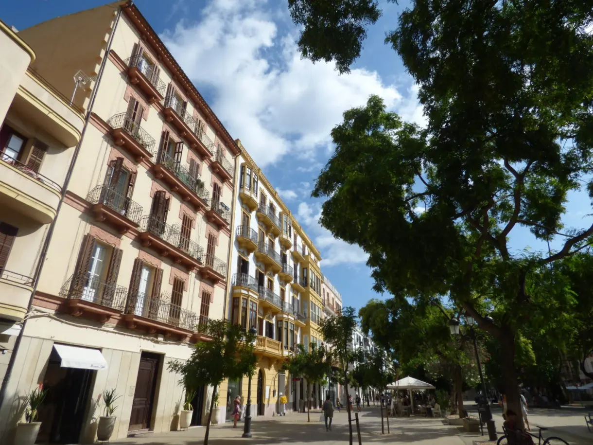 Immeuble à balcons bordant une allée plantée d'arbres
