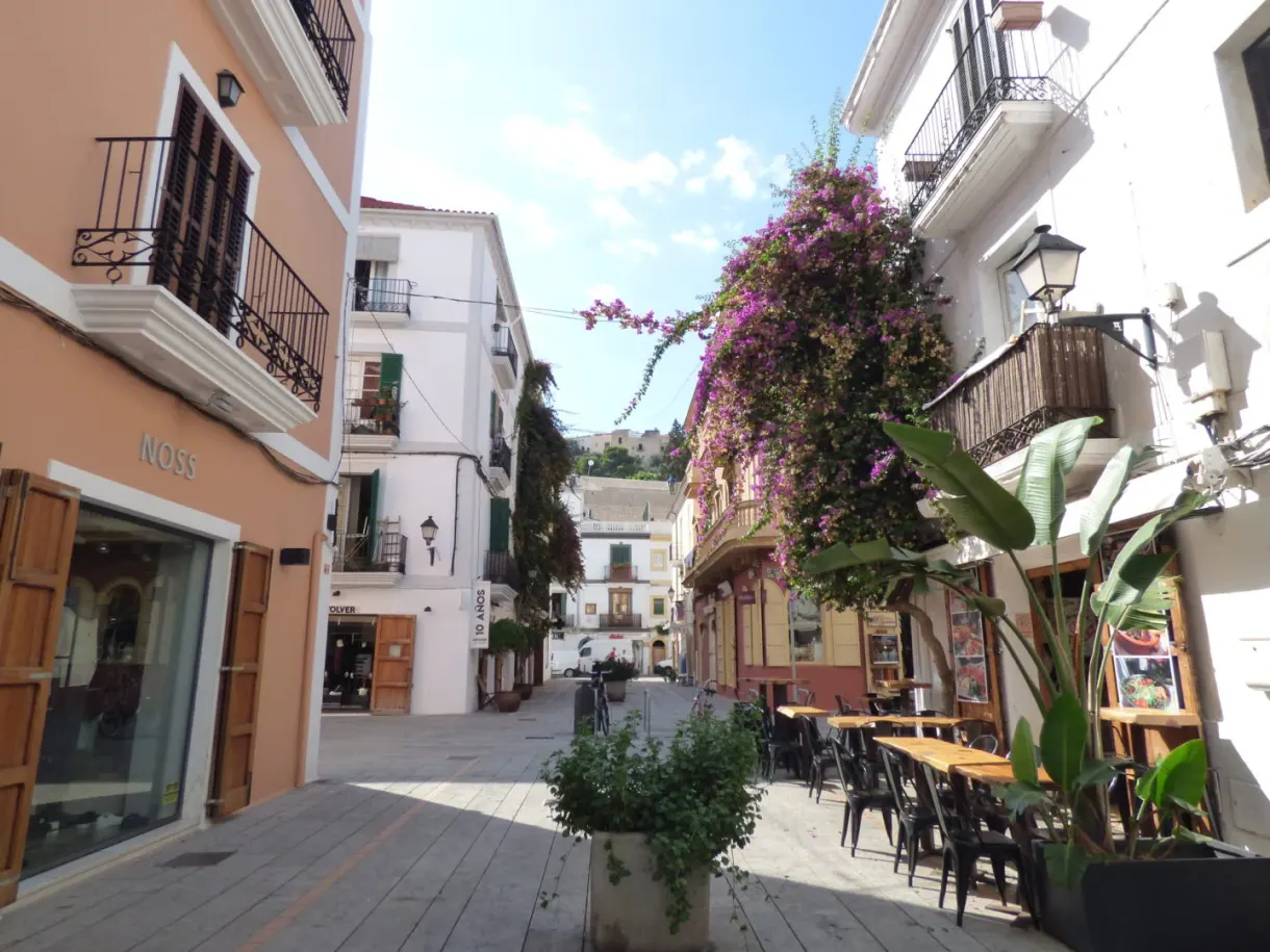Rue piétonne pavée fleurie de bougainvilliers