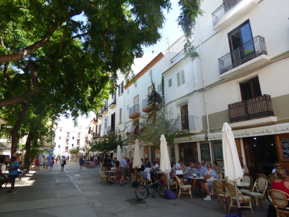 Terrasses ombragées et vélos le long d'une rue commerçante