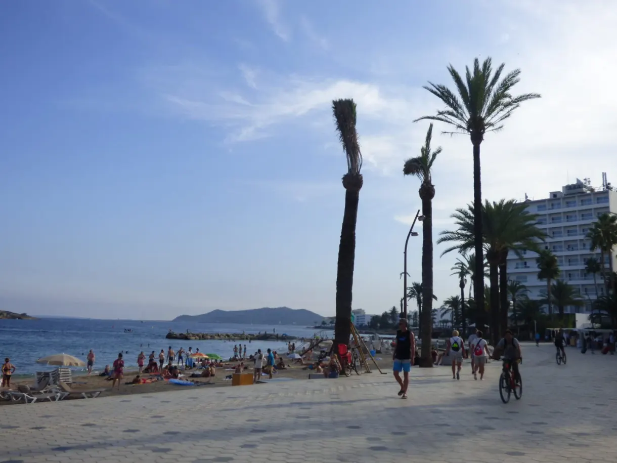 Promenade de palmiers longeant le sable de Figueretes