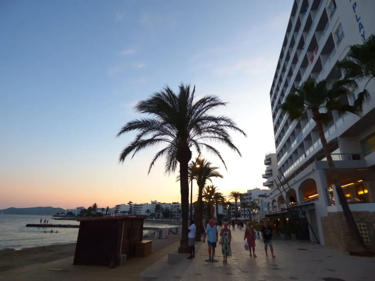 Palmiers en contre-jour sur la promenade au coucher du soleil