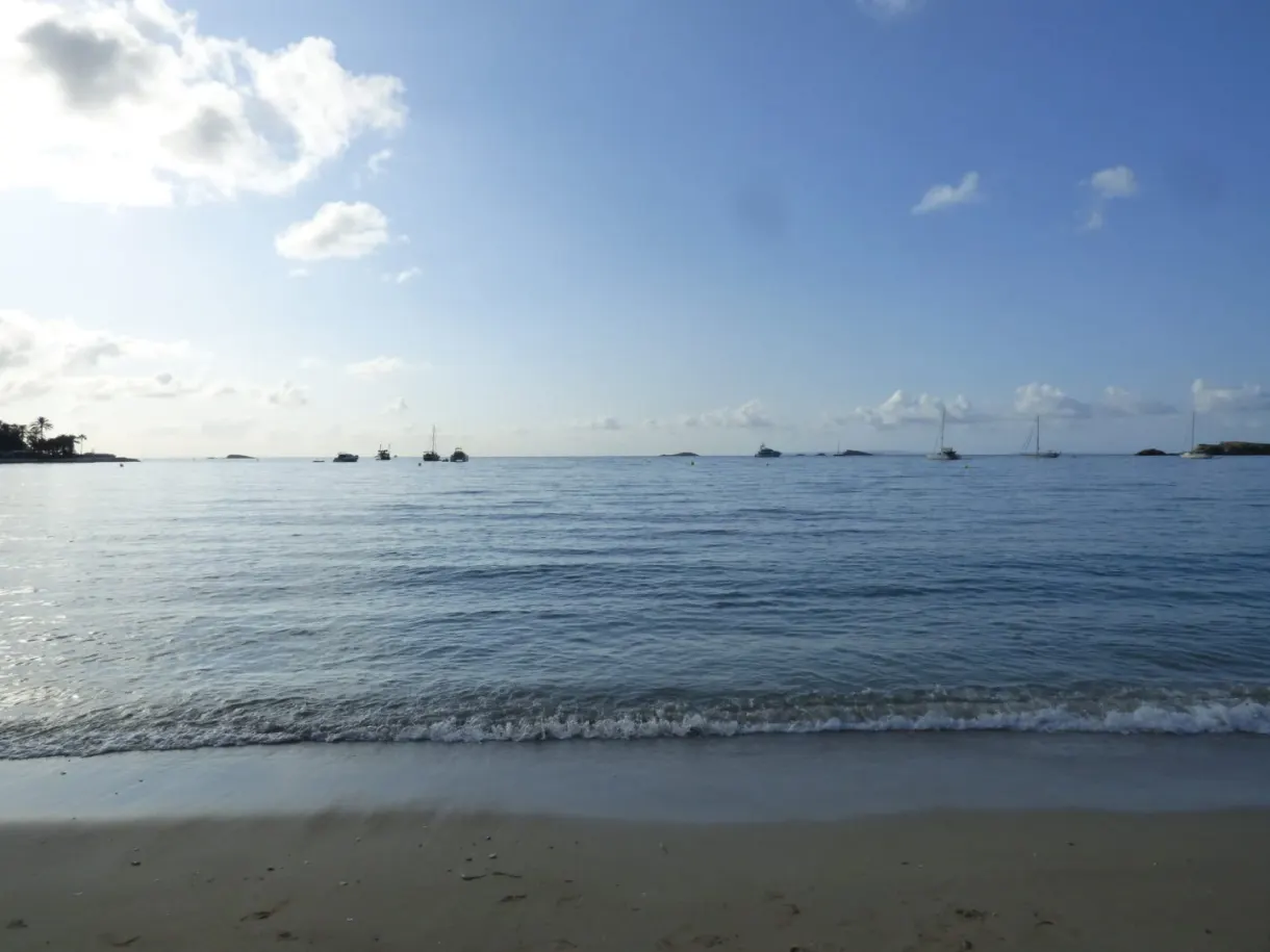 Vaguelettes venant mourir sur le sable clair