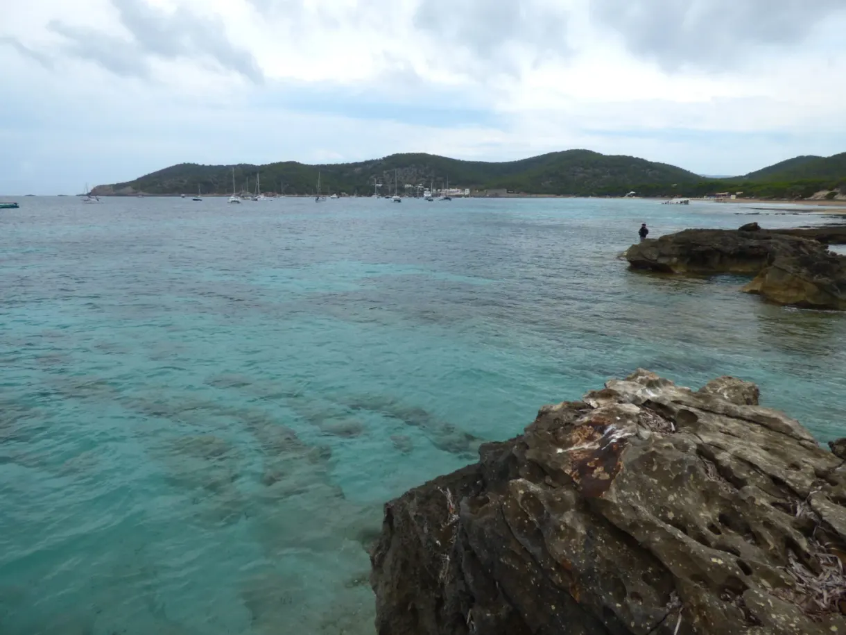 Eau turquoise translucide léchant des rochers déchiquetés
