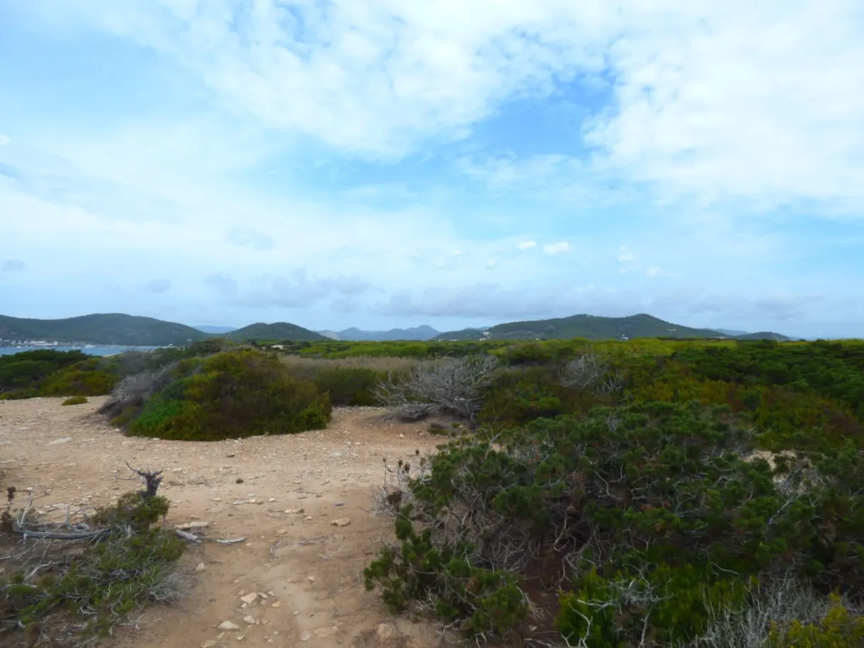 Sentier sableux traversant la garrigue vers les collines