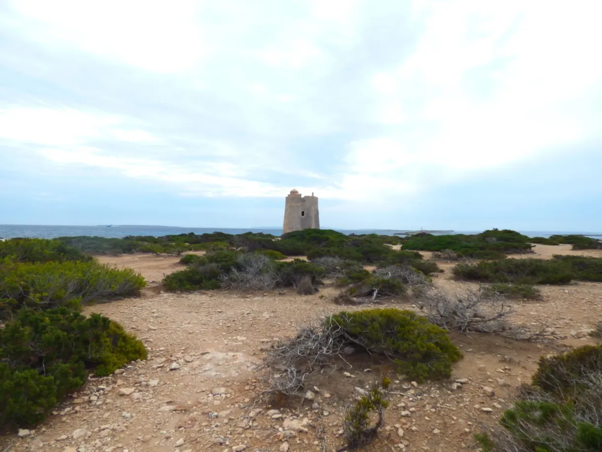 Tour de guet posée au bout d'une lande rase