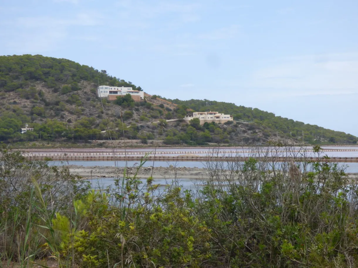 Bassins des salins étalés au pied d'une colline boisée