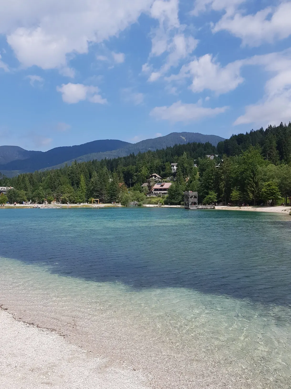 Eau turquoise et plage de galets au pied des sapins