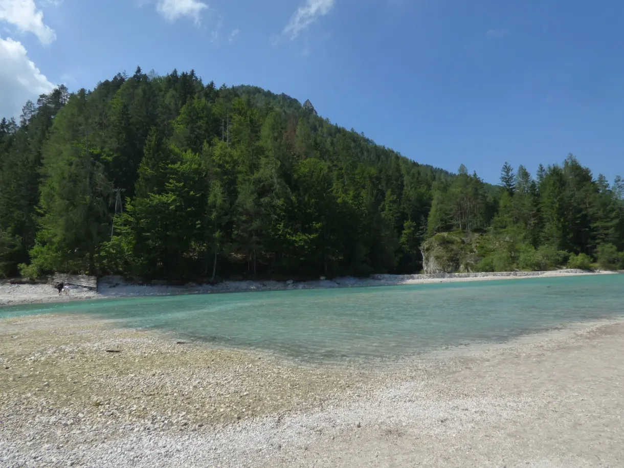 Large rive de galets et forêt dense au bord du lac
