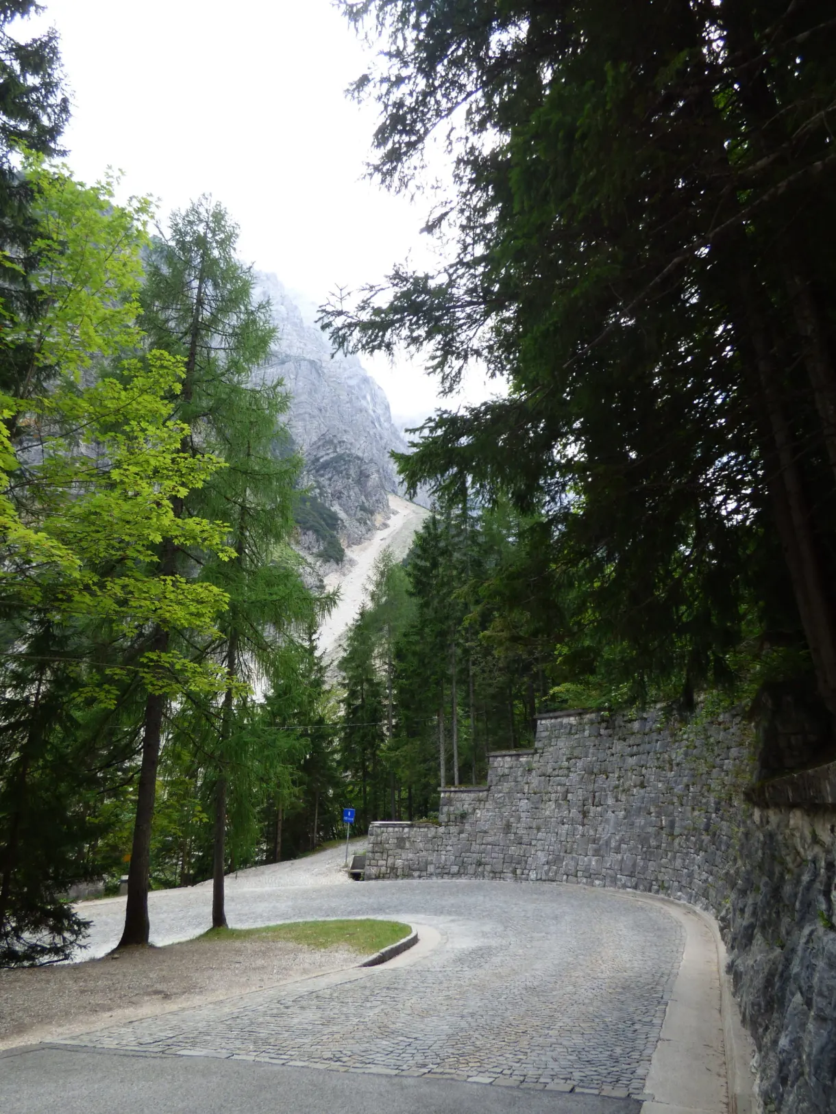 Virage en épingle pavé grimpant à travers la forêt
