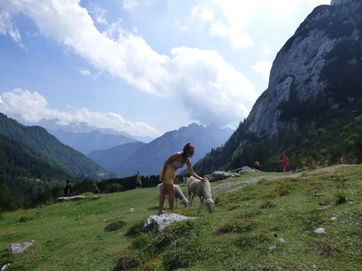 Femme caressant un chien sur une prairie d'altitude