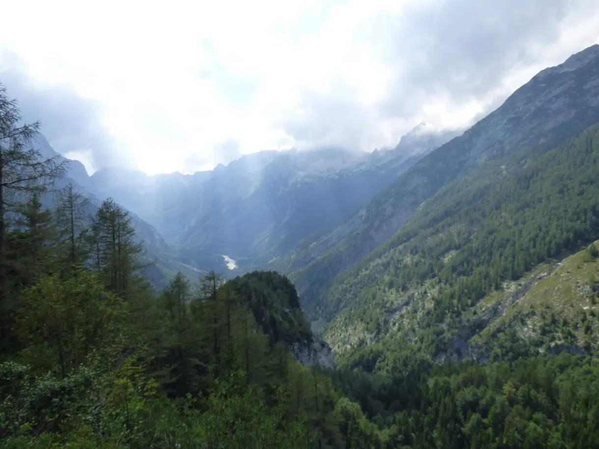 Versant boisé à contre-jour dans une lumière voilée