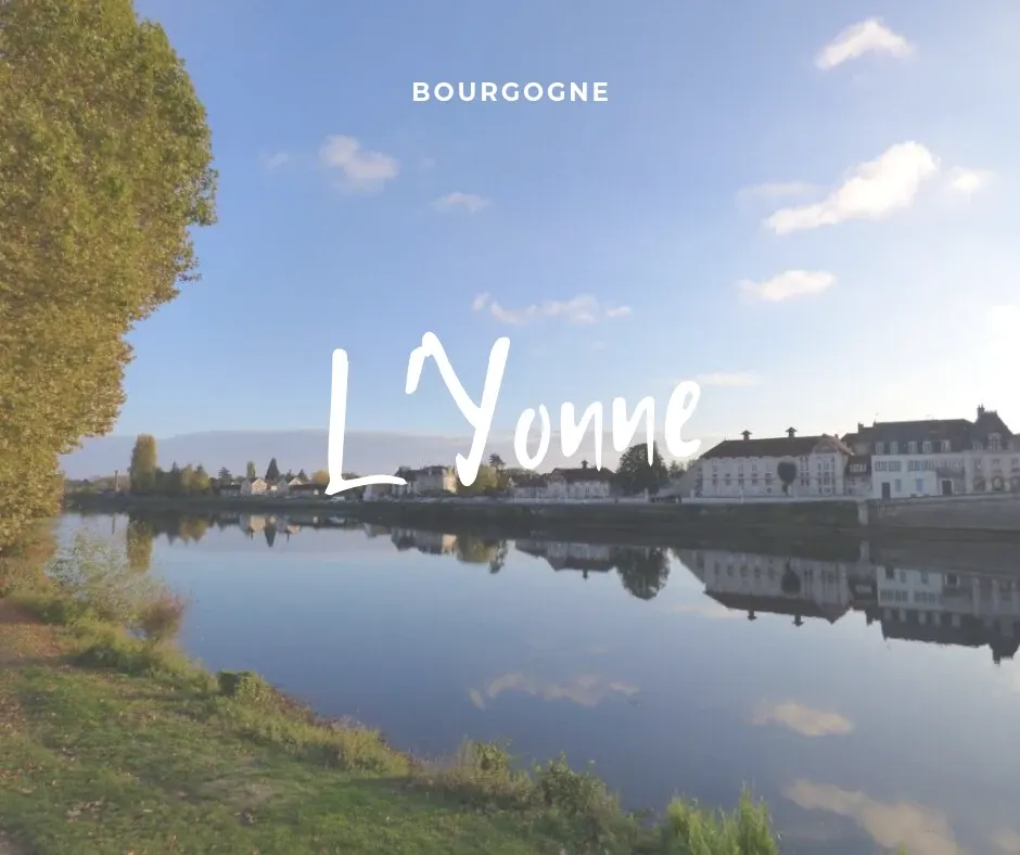 Reflets des quais et des arbres dans l'Yonne
