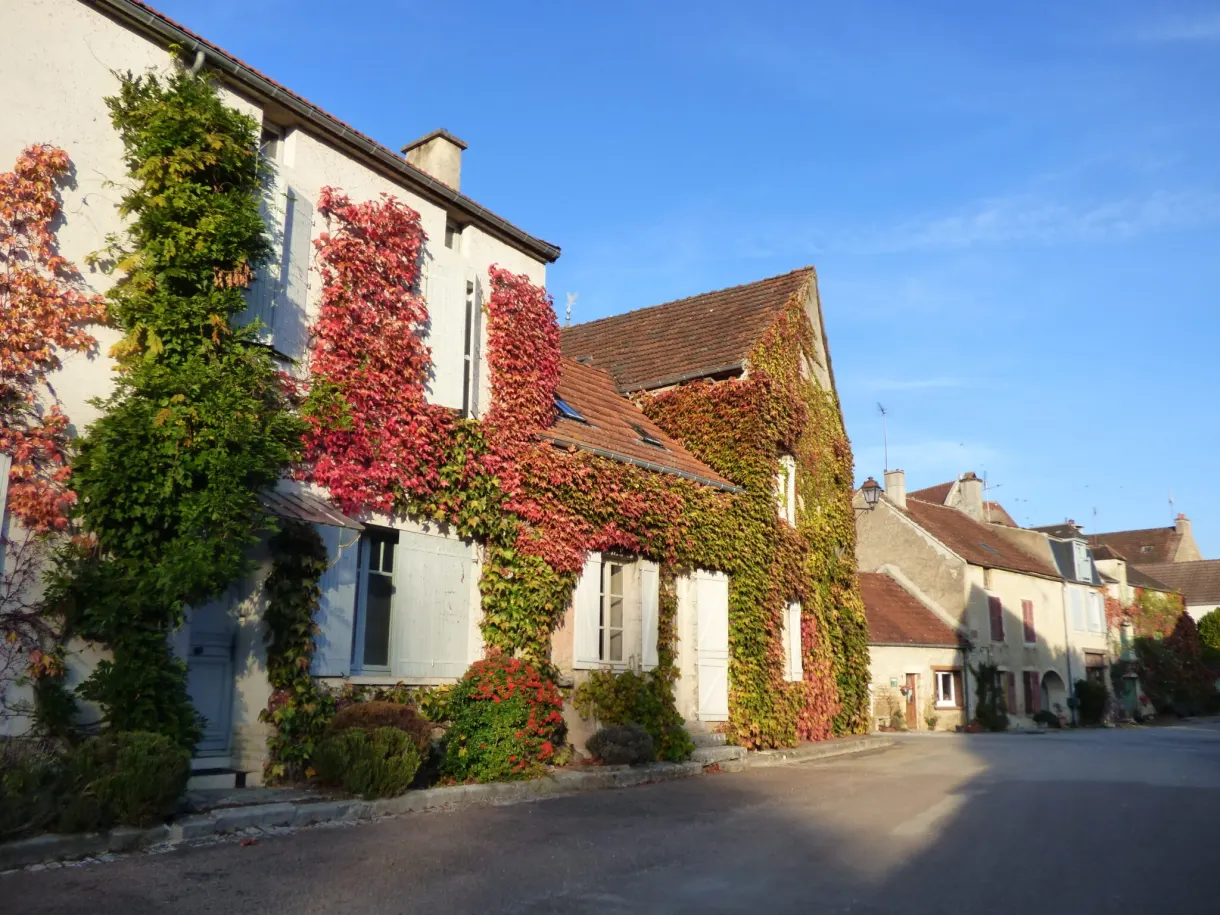 Maison couverte de vigne vierge rouge à Noyers