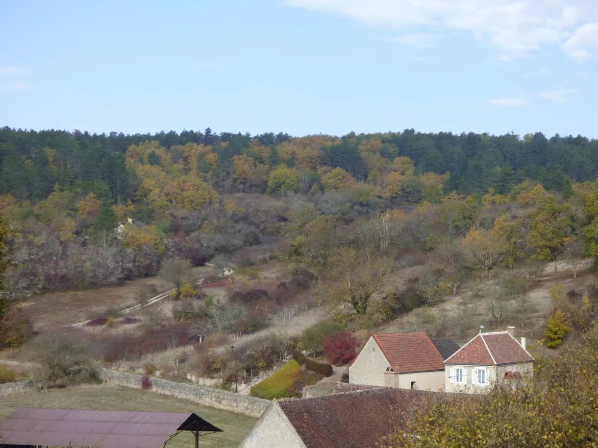 Coteau boisé d'automne et toits du village en contrebas