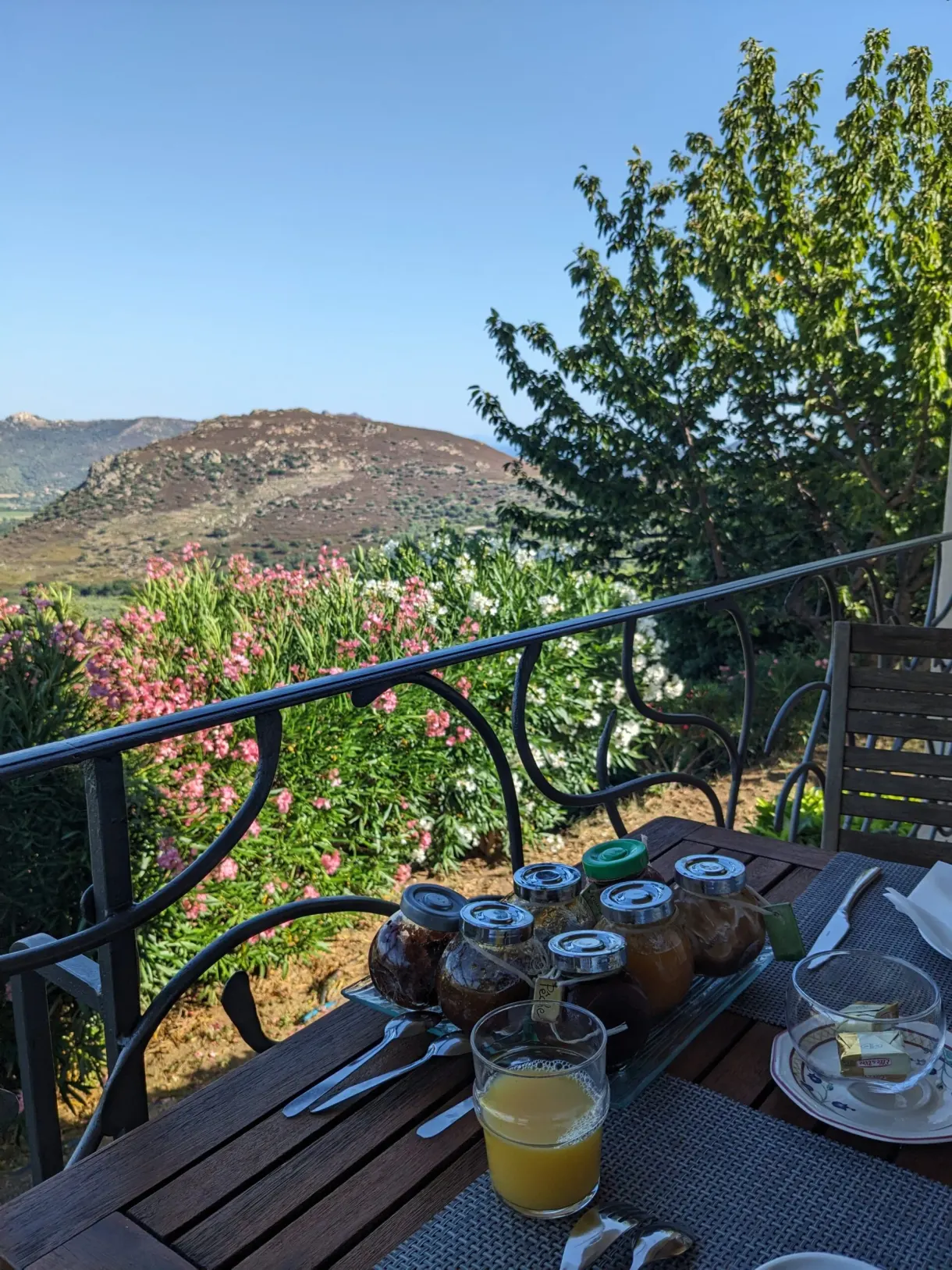 Petit-déjeuner sur un balcon fleuri face au maquis