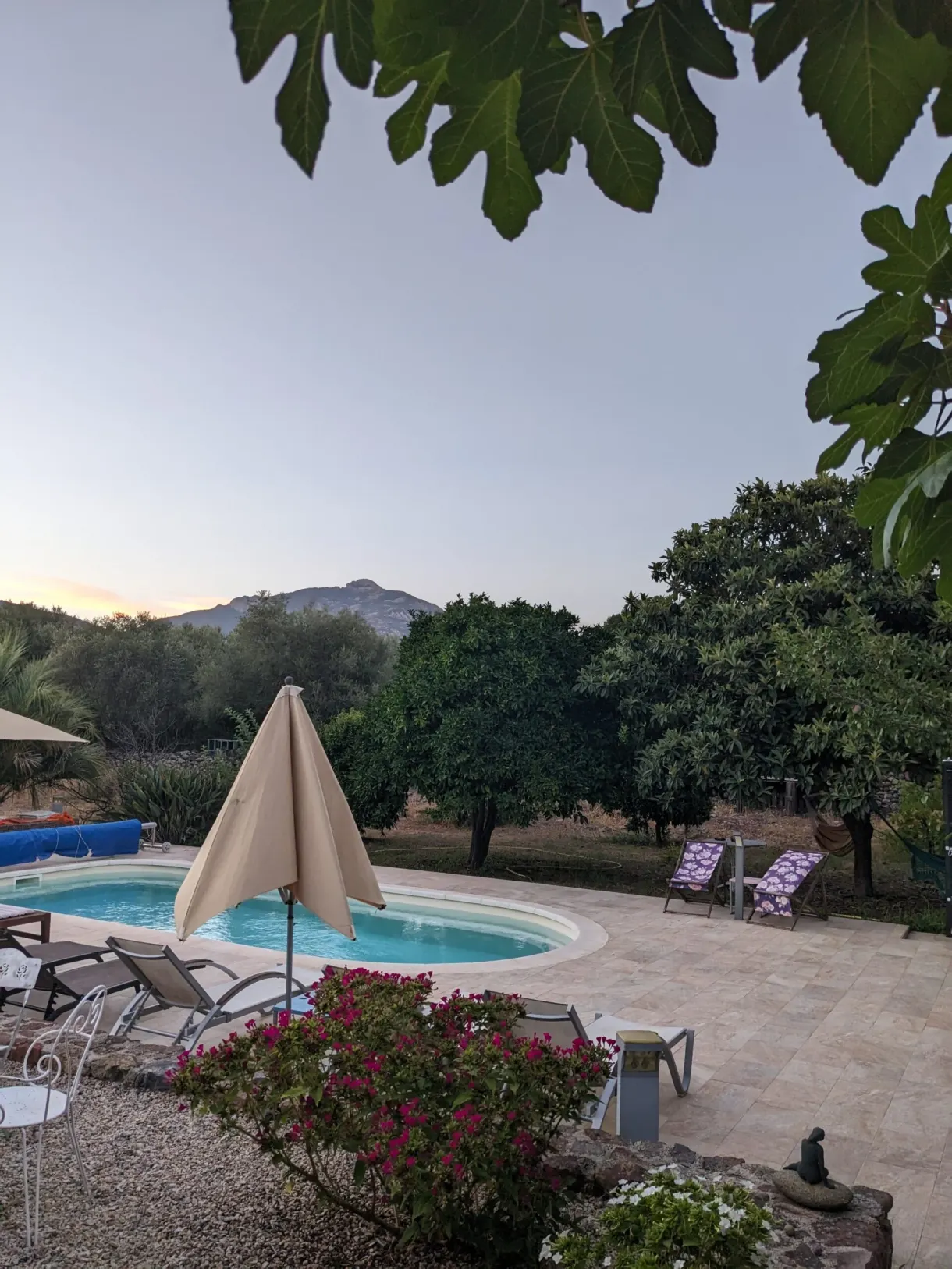 Piscine et parasol fermé dans le jardin au crépuscule