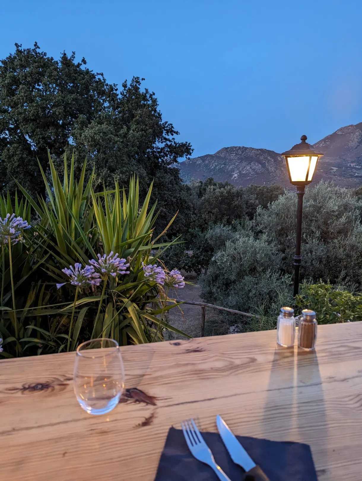 Table dressée dans un jardin de restaurant à la nuit tombante