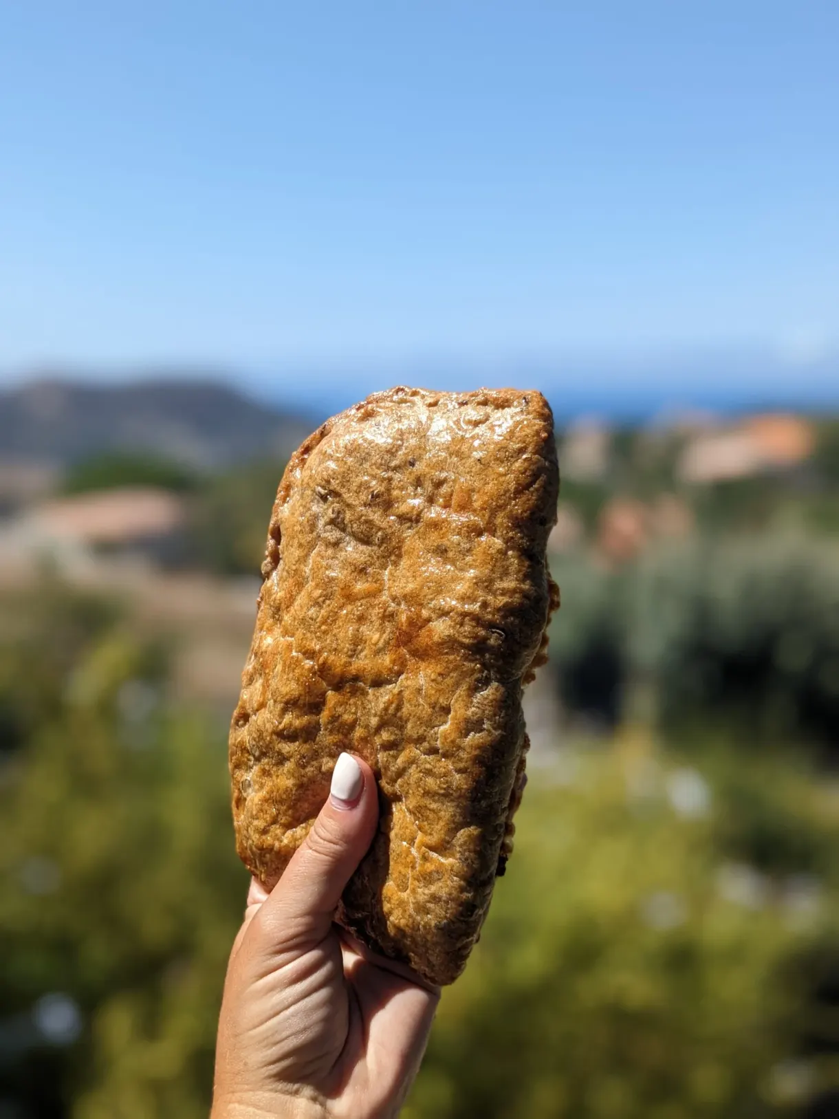 Beignet croustillant tenu à bout de doigts devant le maquis