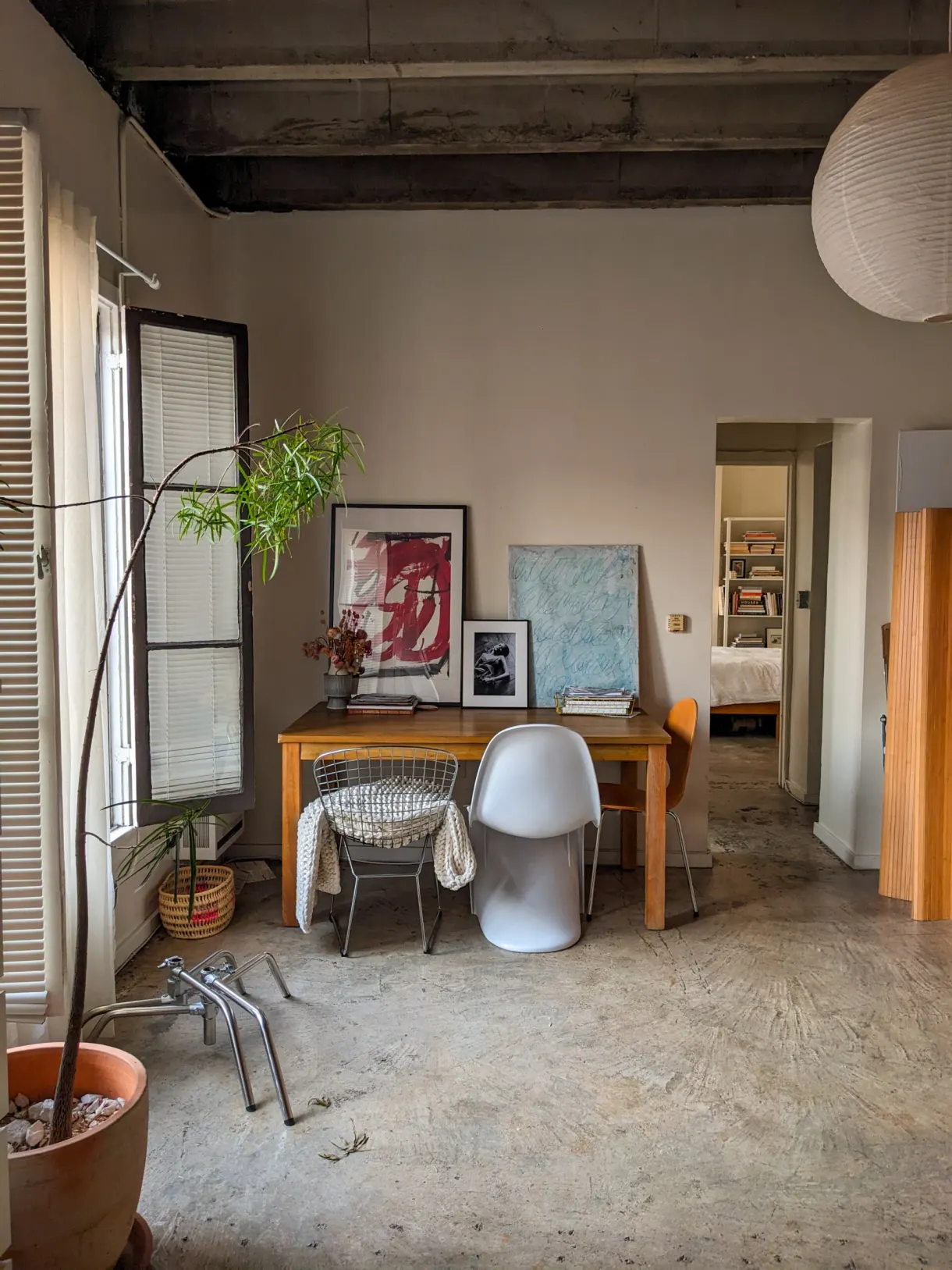 Salon lumineux d'un logement avec bureau et plantes