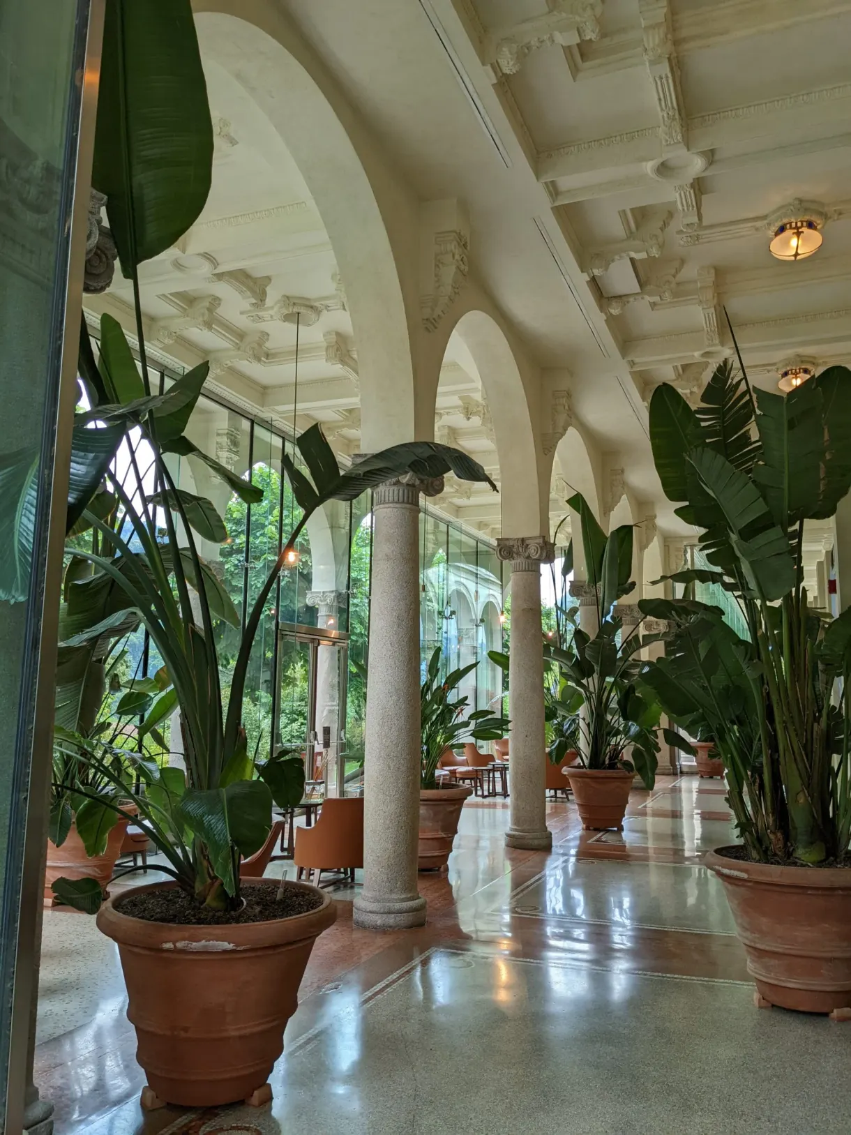 Colonnade abritant de grandes plantes tropicales en pot