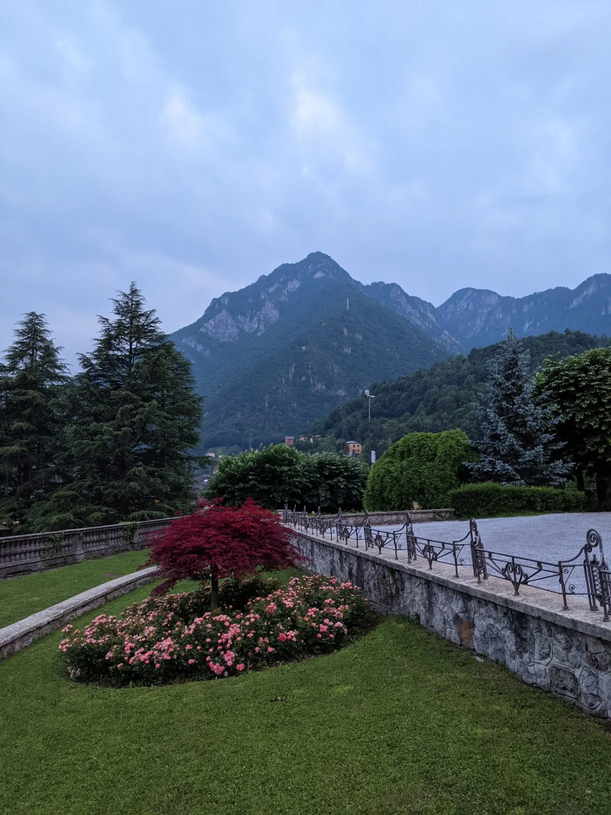 Parterre fleuri devant les montagnes bleutées