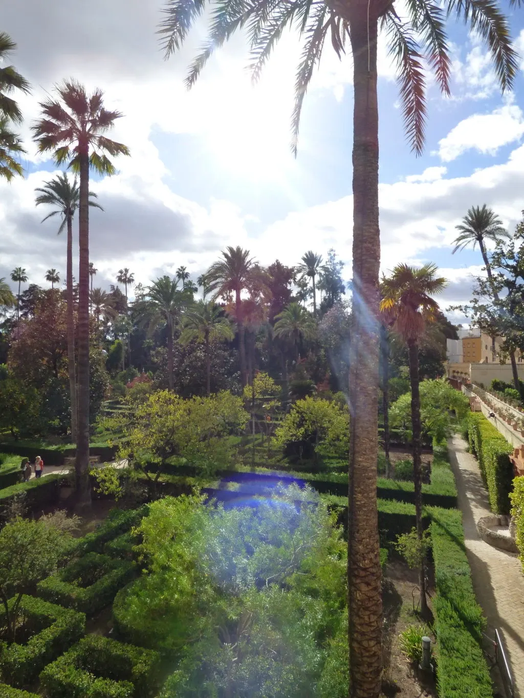 Jardins en terrasses vus d'en haut, palmiers et buis taillés