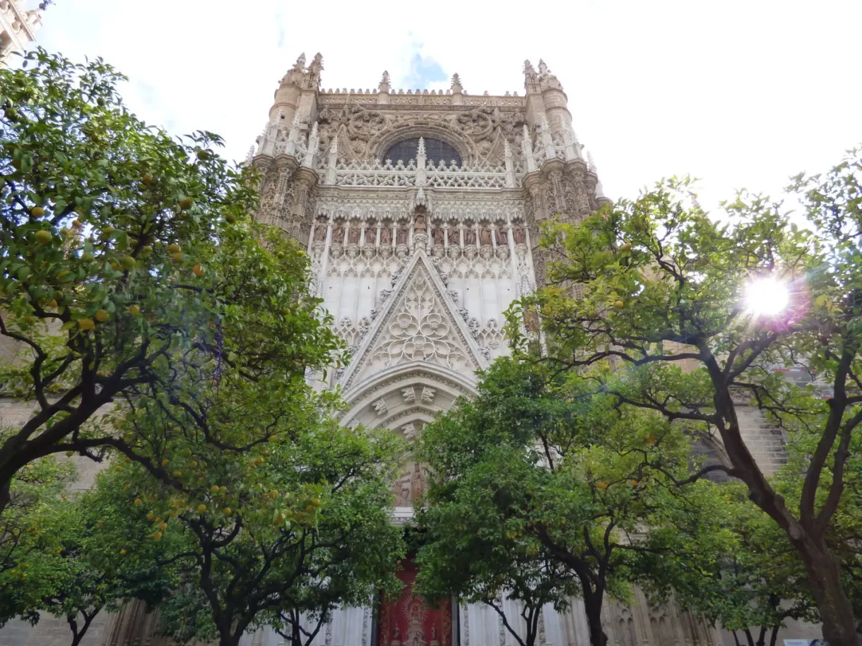 Façade dentelée aperçue au-dessus des orangers