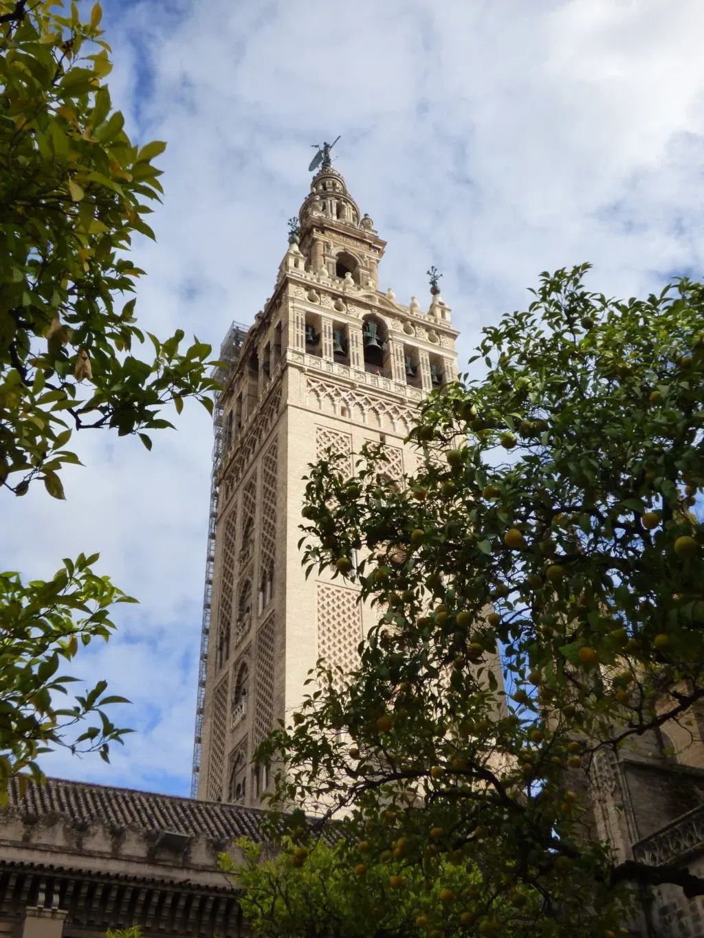 Giralda dépassant des orangers du patio
