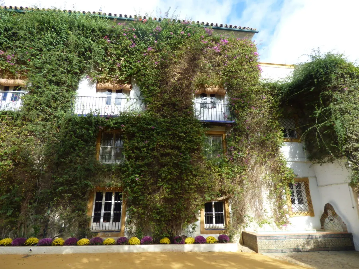 Façade blanche couverte de bougainvilliers et balcons de fer