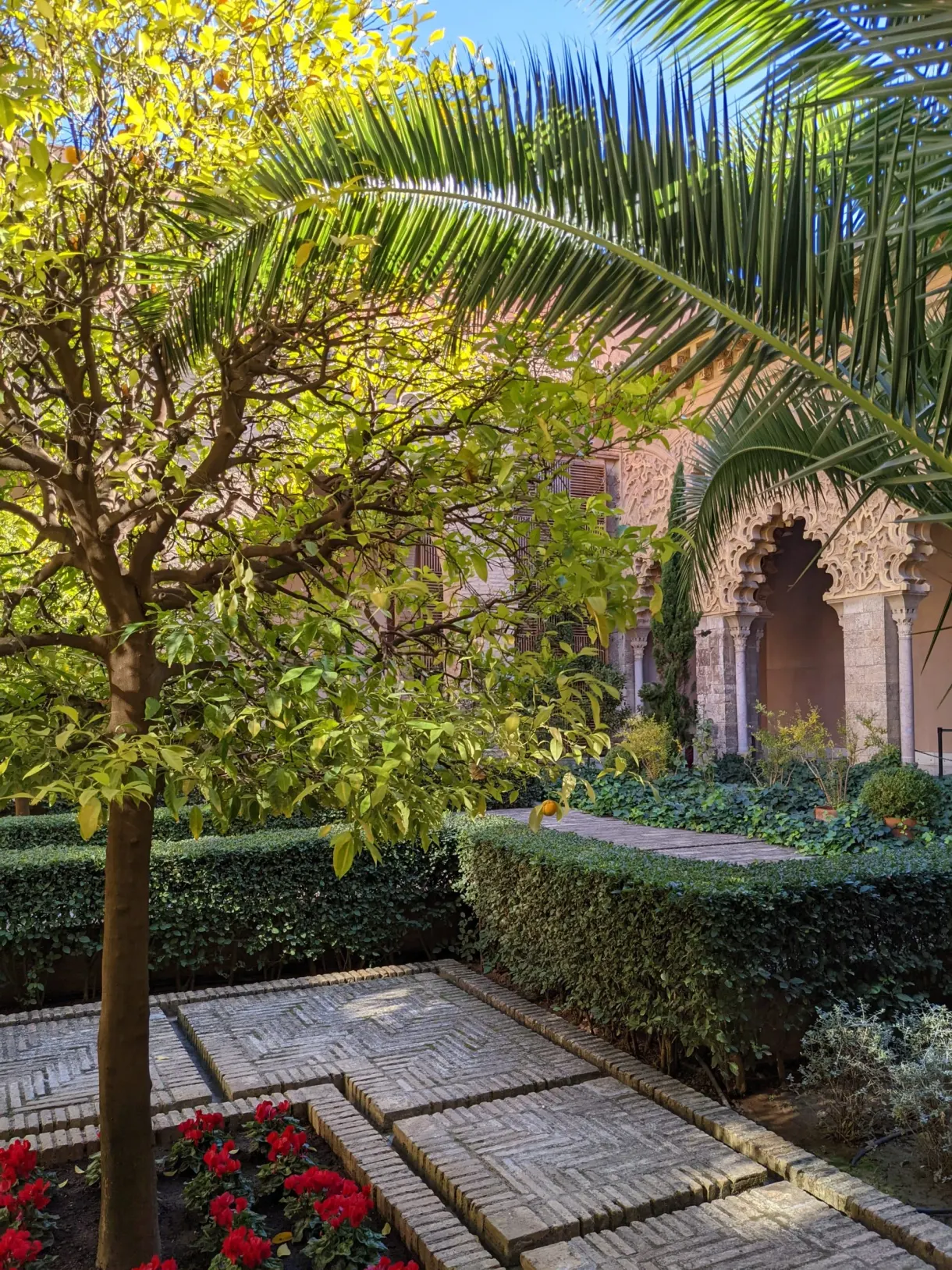 Patio planté d'orangers et de palmiers au cœur du palais