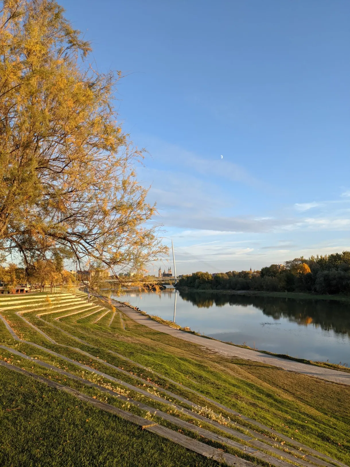 Berges de l'Èbre aux arbres dorés d'automne