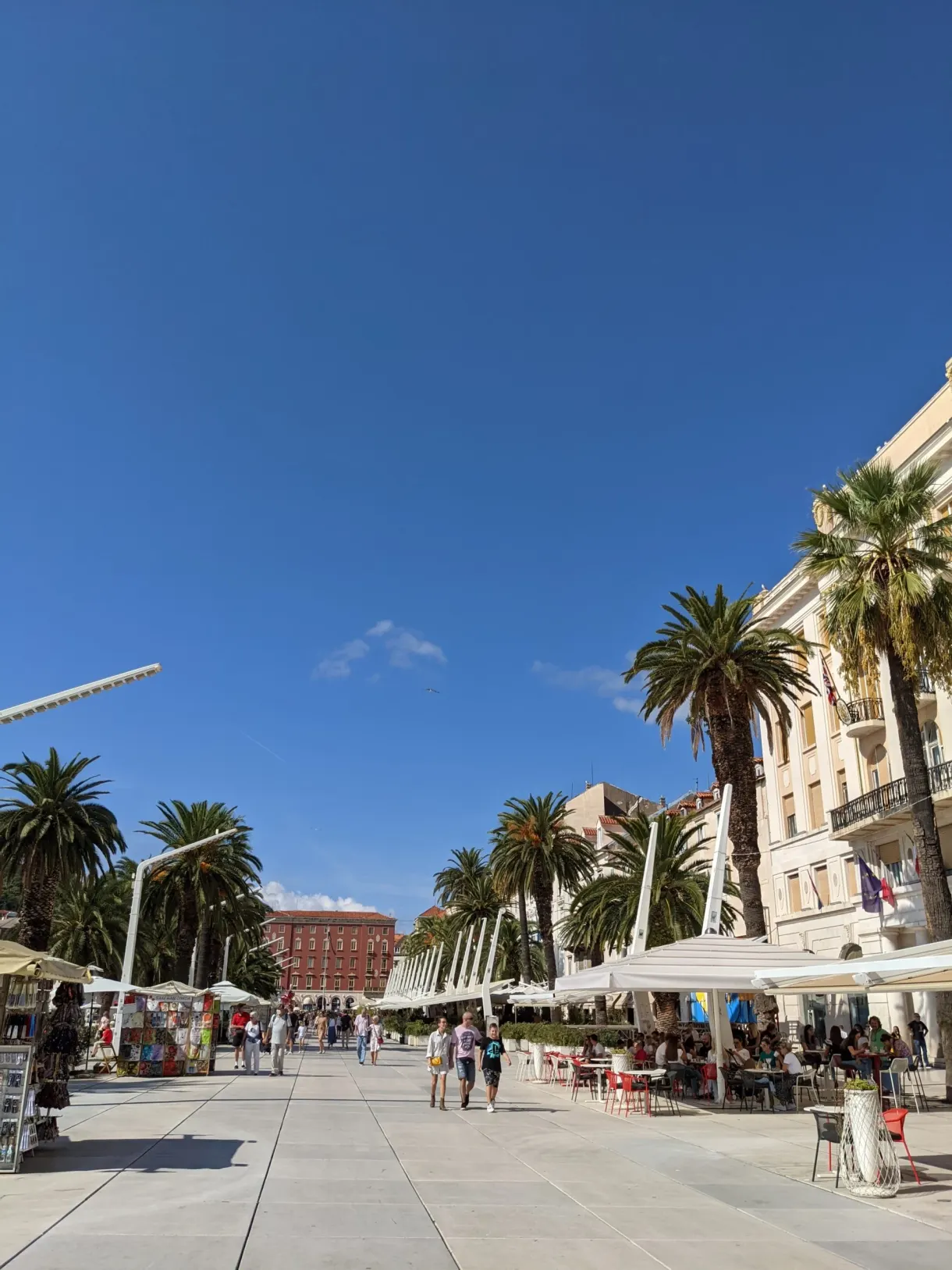 Esplanade dallée, palmiers et terrasses de café en enfilade
