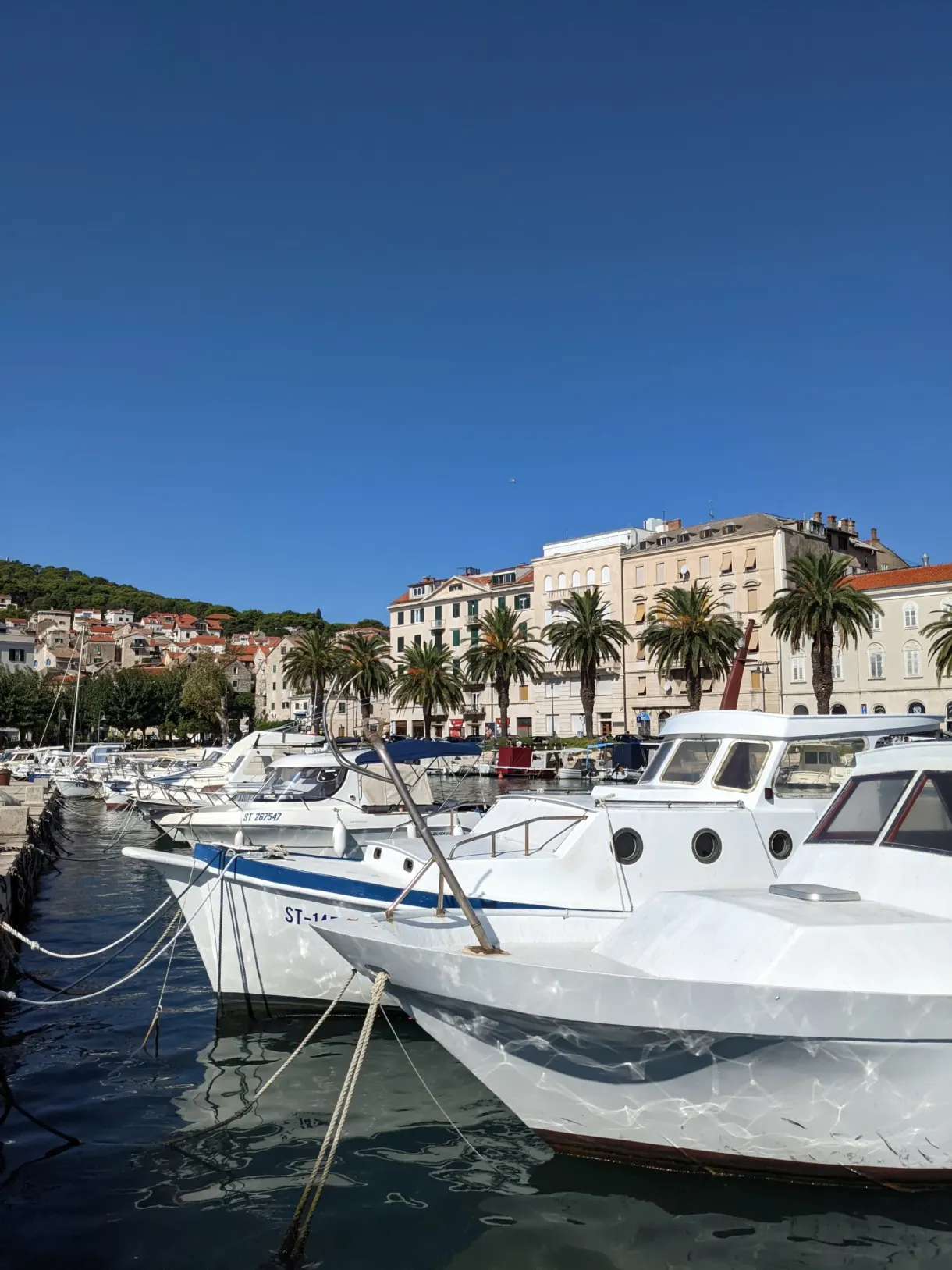 Yachts blancs alignés dans le port de plaisance