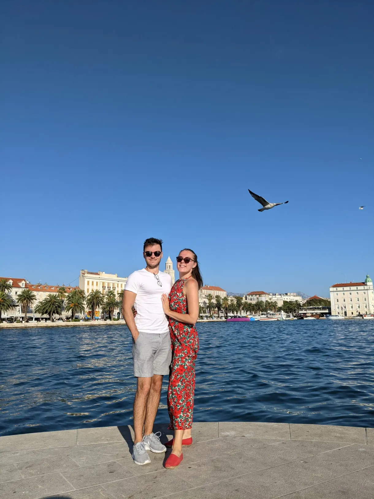 Couple enlacé au bord du quai, mouette en vol