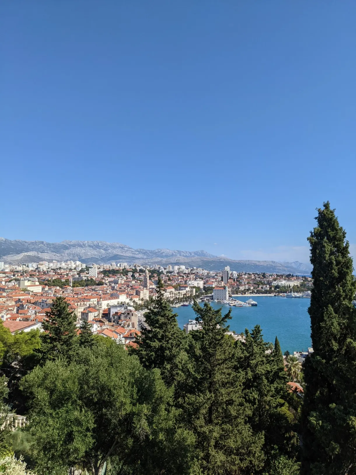 Panorama sur la ville et la baie depuis un sentier boisé