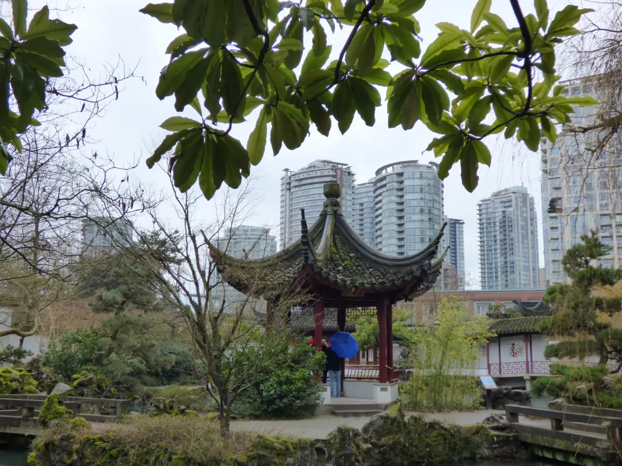 Pavillon du jardin chinois cadré par un feuillage