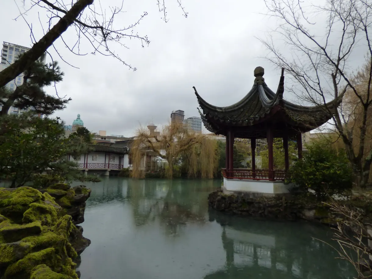 Pavillon posé sur un bassin vert entouré de saules