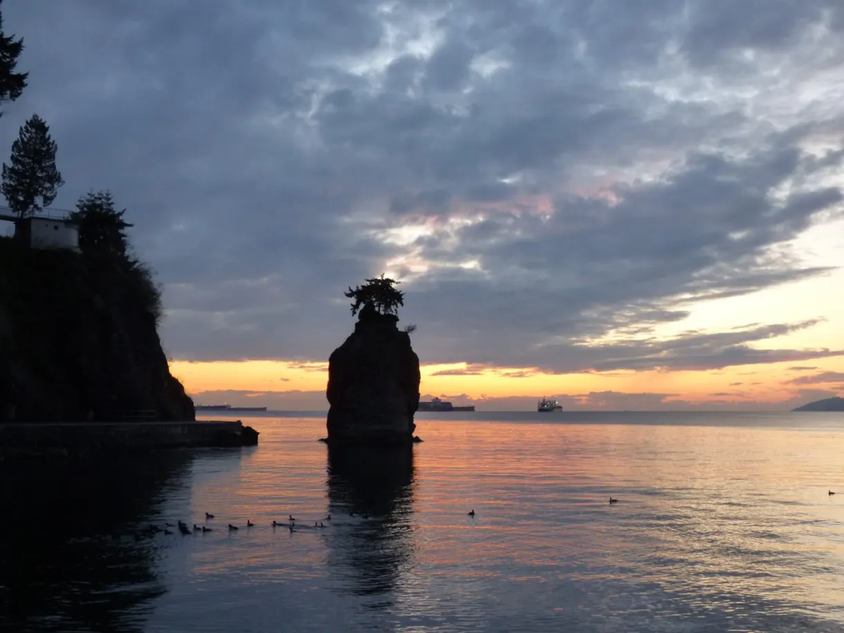 Rocher coiffé d'un arbre en silhouette au crépuscule