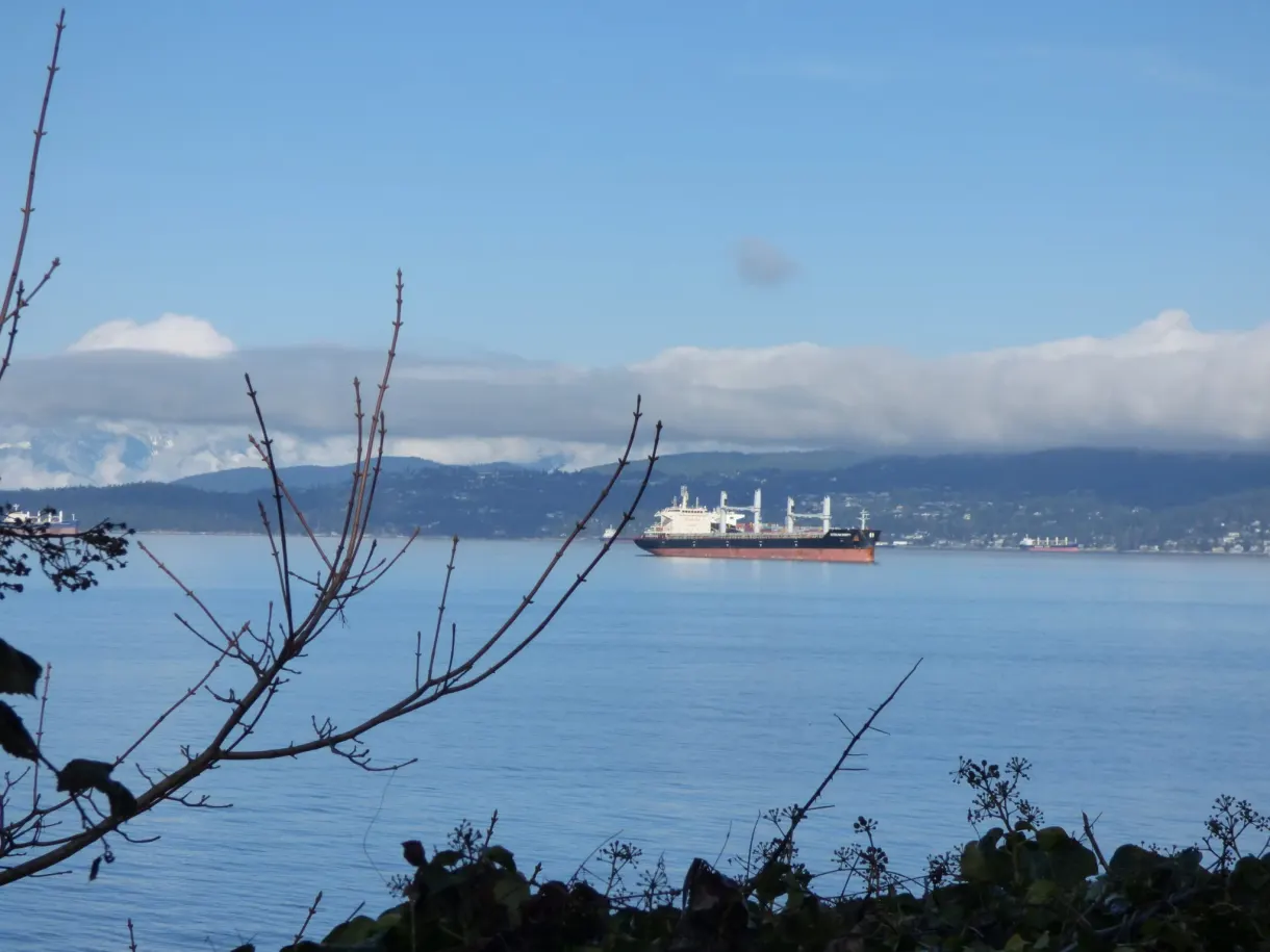 Cargo à l'ancre devant les montagnes de la rive nord