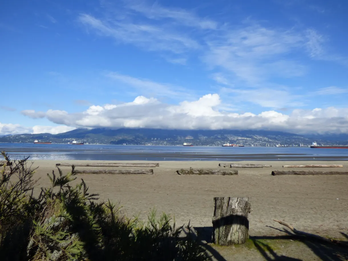 Longue plage de sable déserte bordée d'herbes sèches