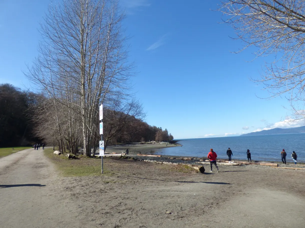 Sentier de terre rejoignant la plage entre les arbres nus
