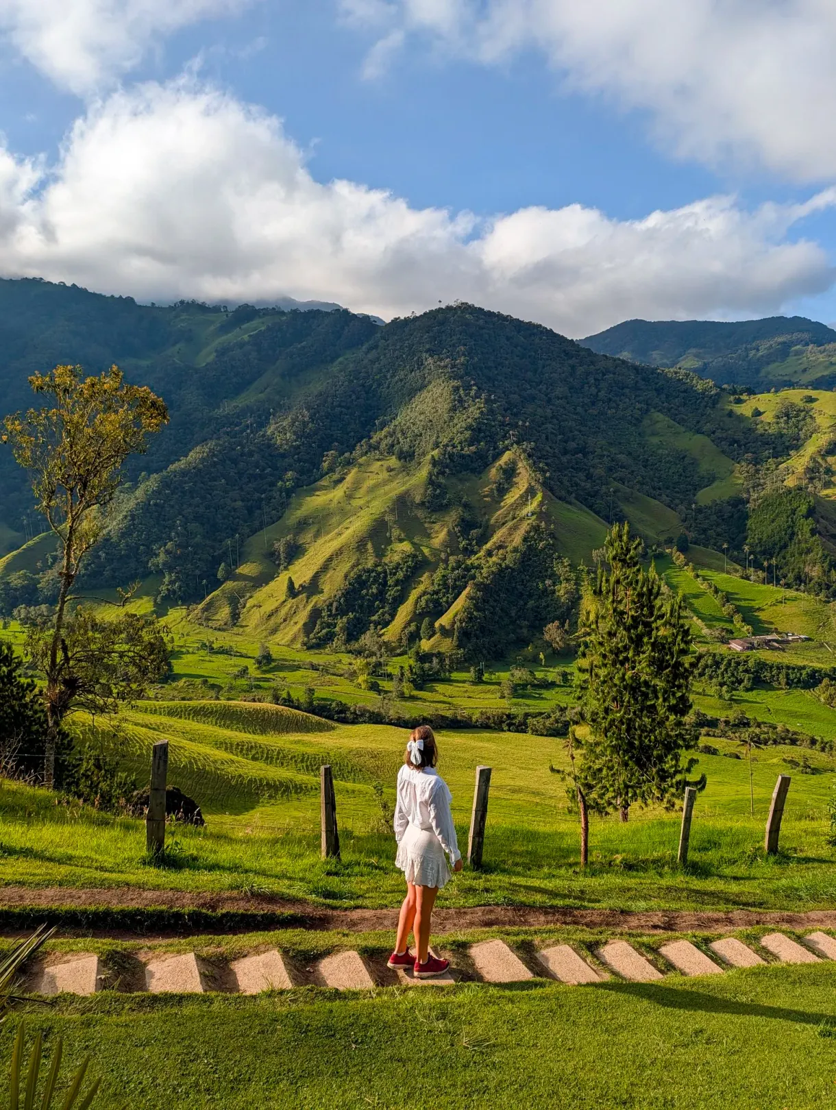 Marie face aux collines verdoyantes de la vallée de Cocora, en Colombie