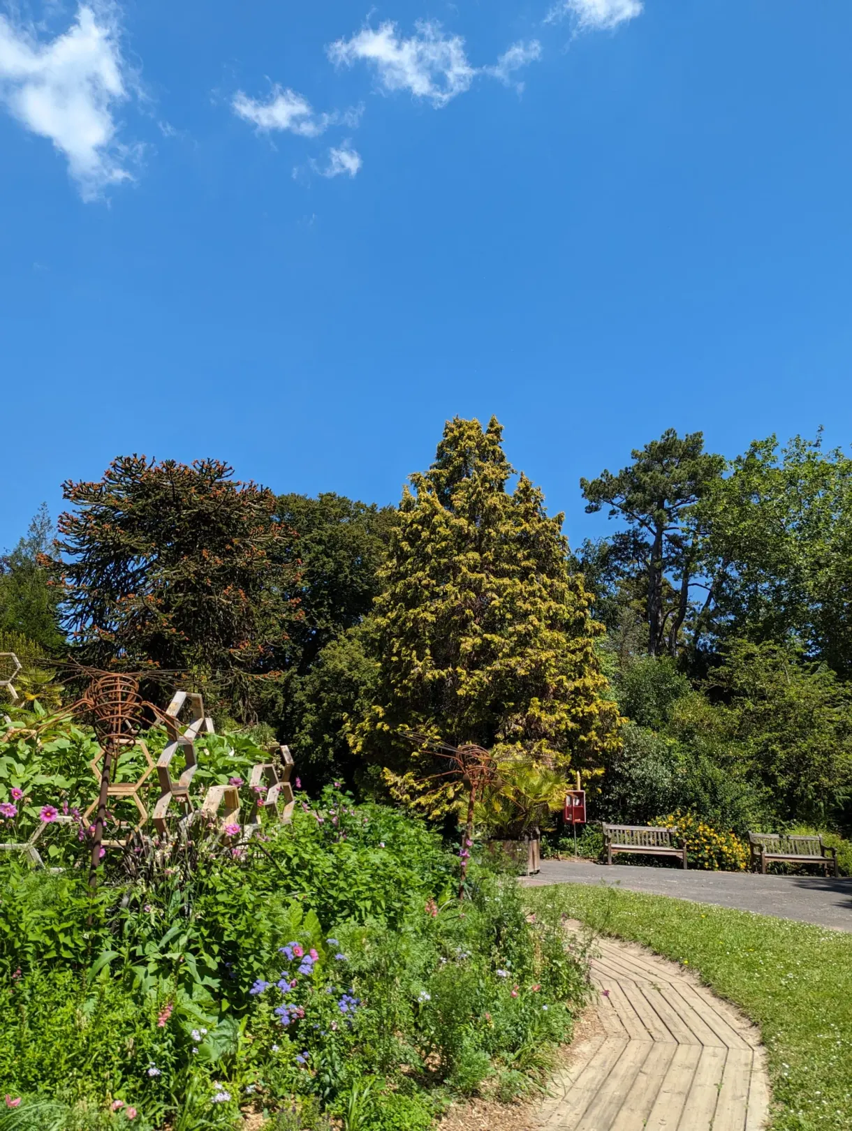 Massifs de vivaces et arbustes bordant une allée du jardin