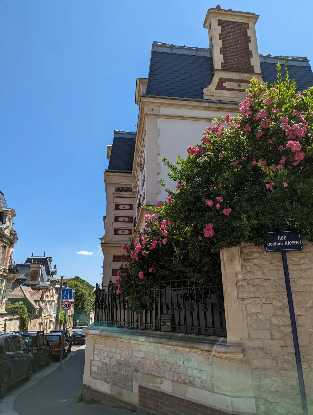 Rosier grimpant en fleurs débordant du mur d'une maison bourgeoise
