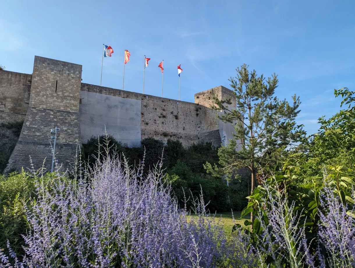 Remparts du château pavoisés de drapeaux au-dessus d'un massif de lavande