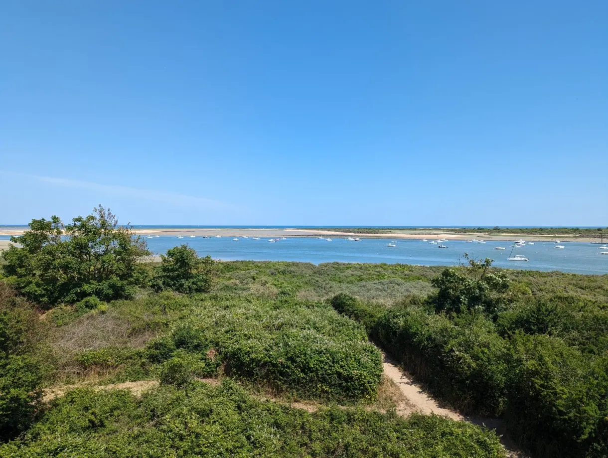 Estuaire et bancs de sable vus depuis les dunes végétalisées